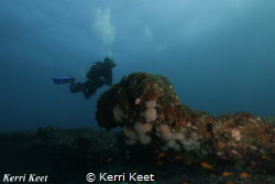 Diver admiring the view over Aliwal Shoal by Kerri Keet 